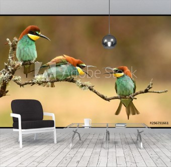 Picture of Abejarucos en primavera